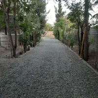 اجاره ۱۵۰۰ متری در فیروزآبادی|اجارهٔ دفتر صنعتی، کشاورزی، تجاری|تهران, فیروزآبادی|دیوار