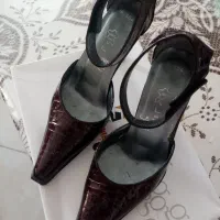 کفش مجلسی