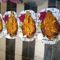 سوییت.آلاچیق.کباب ماهی