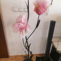 آباژور سالم قیمت 800هزارتومان