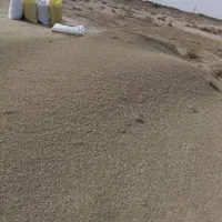 خار|خدمات باغبانی و درختکاری|زابل, |دیوار