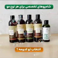 برند قوی لدورا|آرایشی، بهداشتی، درمانی|شیراز, ریشمک|دیوار