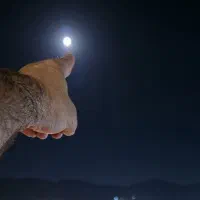 تبدیل عکس معمولی به عکس آتلیه ای
