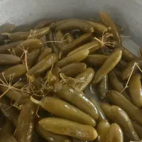 خیارشور تازه وبه قیمت مناسب سوپر نول ممتاز ویژه|خوردنی و آشامیدنی|شیروان (خراسان), |دیوار