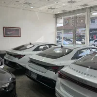 النترا الیت ۲۰۲۵ خشک تحویل ۳۵ روزه نازل ترین قیمت