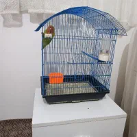 قفس|لوازم جانبی حیوانات|مشهد, محمدآباد|دیوار