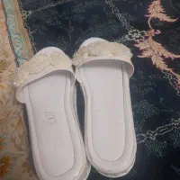 دمپای مجلسی