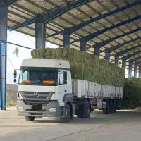 اکسور مدل ۱۳۹۴