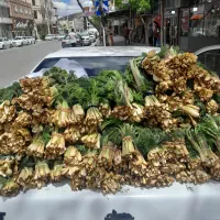 چخشور