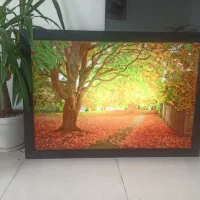 تابلو چراغ دار