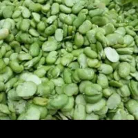 فروشگاه ریحان سبز پرند|خوردنی و آشامیدنی|پرند, فاز ۲|دیوار