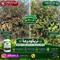 تریکودرما درمان قارچ تقویت ریشه و احیای گیاهان