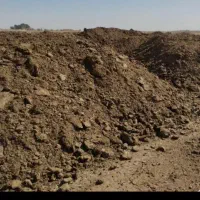 تحویل کود حیوانی به سرزمین با کامیون