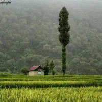 زمین-فروشی-فرهنگیان-بهرخیابان
