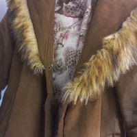 پالتو خزدار
