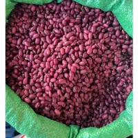 حبوبات عمده با تخفیف ویژه خانم قاسمی