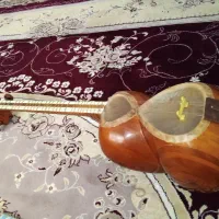 تار آموزشی|سازهای سنتی|درگزین, |دیوار