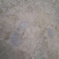 چادر عروس سفید|لباس|شیروان (خراسان), |دیوار