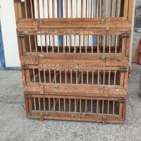 قفس راهکش و مسابقه