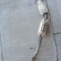 کاتالیز نیسان|قطعات یدکی و لوازم جانبی|قیدار, |دیوار