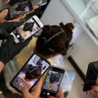 آموزش آرایشگری با مدرک فنی و حرفه ای معتبر|خدمات آرایشگری و زیبایی|فولادشهر, B2|دیوار