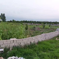 فروش زمین ۵۰۰ متری|فروش زمین و ملک کلنگی|زرگرشهر, |دیوار