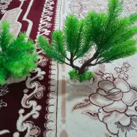 درختچه آکواریوم