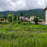 کلاردشت-نصیری-500متر-زمین-دوکله-داخل-بافت-ویوجنگل