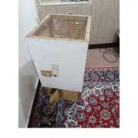 قفس پرنده|لوازم جانبی حیوانات|اهواز, اهواز|دیوار