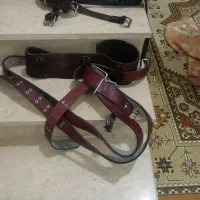 کمربند علامت یا هیکلی