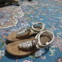 دمپایی|کیف، کفش، کمربند|اهواز, شهرک رزمندگان|دیوار