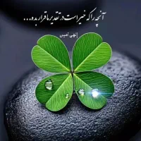 قالی