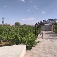 خونه باغ ۴۰۰۰مترباتمام امکانات احمدابادچهل گزی|فروش خانه و ویلا|مهریز, |دیوار
