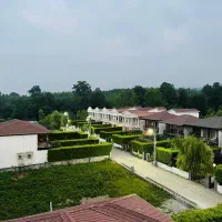 زمین ۲۵۰متری دامنه نعمت اباد چمستان/کل ۸۰۰/اقساطی