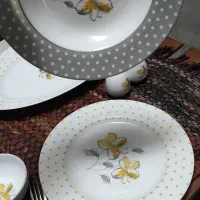 ظروف غذا خوری|ظروف سرو و پذیرایی|سنندج, |دیوار