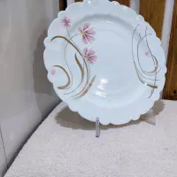 لوازم آشپزخانه کارکرده در حد نو|ظروف سرو و پذیرایی|مشهد, رده|دیوار