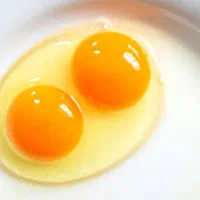 تخممرغ