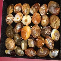 نگین انگشتر سلیمانی