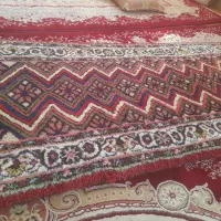قالی کردی