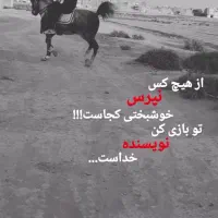 اسب نریان پر خون سواری دار|اسب و تجهیزات اسبسواری|قم, جمکران|دیوار