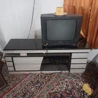 تلویزیون
