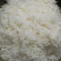 برنج هاشمی گیلان