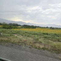 زمین مسکونی بندرگز