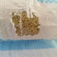 کود دی آمونیوم|خدمات باغبانی و درختکاری|آستانه اشرفیه, |دیوار