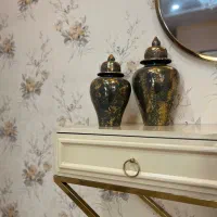 جین جر جار پتینه ای