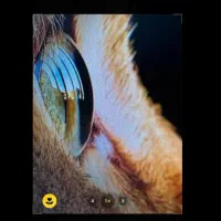 گوشی A14پرمکس