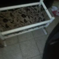 گهواره چوبی سالم