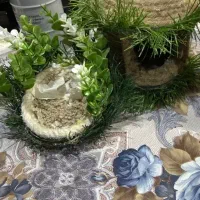 فروش لانه پرنده|لوازم جانبی حیوانات|تهران, سبلان (لشگر)|دیوار