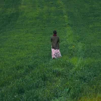 عکاسی پاییزی در جنگل‌های مازندران|خدمات پذیرایی، مراسم|بابلسر, |دیوار