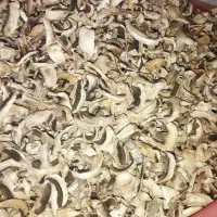 قارچ خشک|خوردنی و آشامیدنی|اژیه, |دیوار